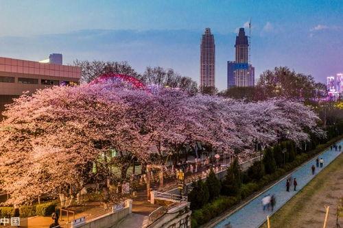 吃瓜爆料每日大赛最新动态 抖音网红吃瓜泄密,揭秘每日大赛最新动态