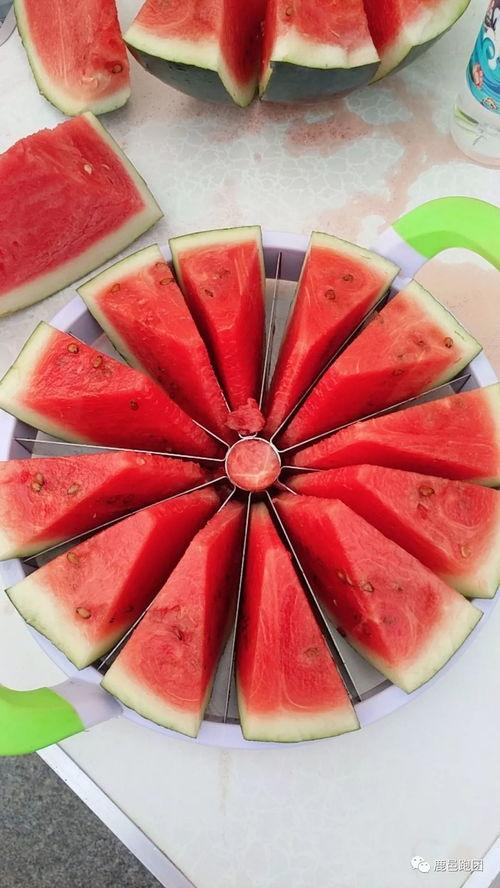 吃瓜网每日大赛,精彩对决，谁将脱颖而出？